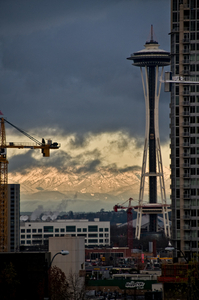 Album 500294