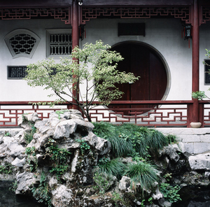 Album 501333